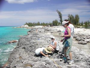 Students at Cockburn Town fossil reef.